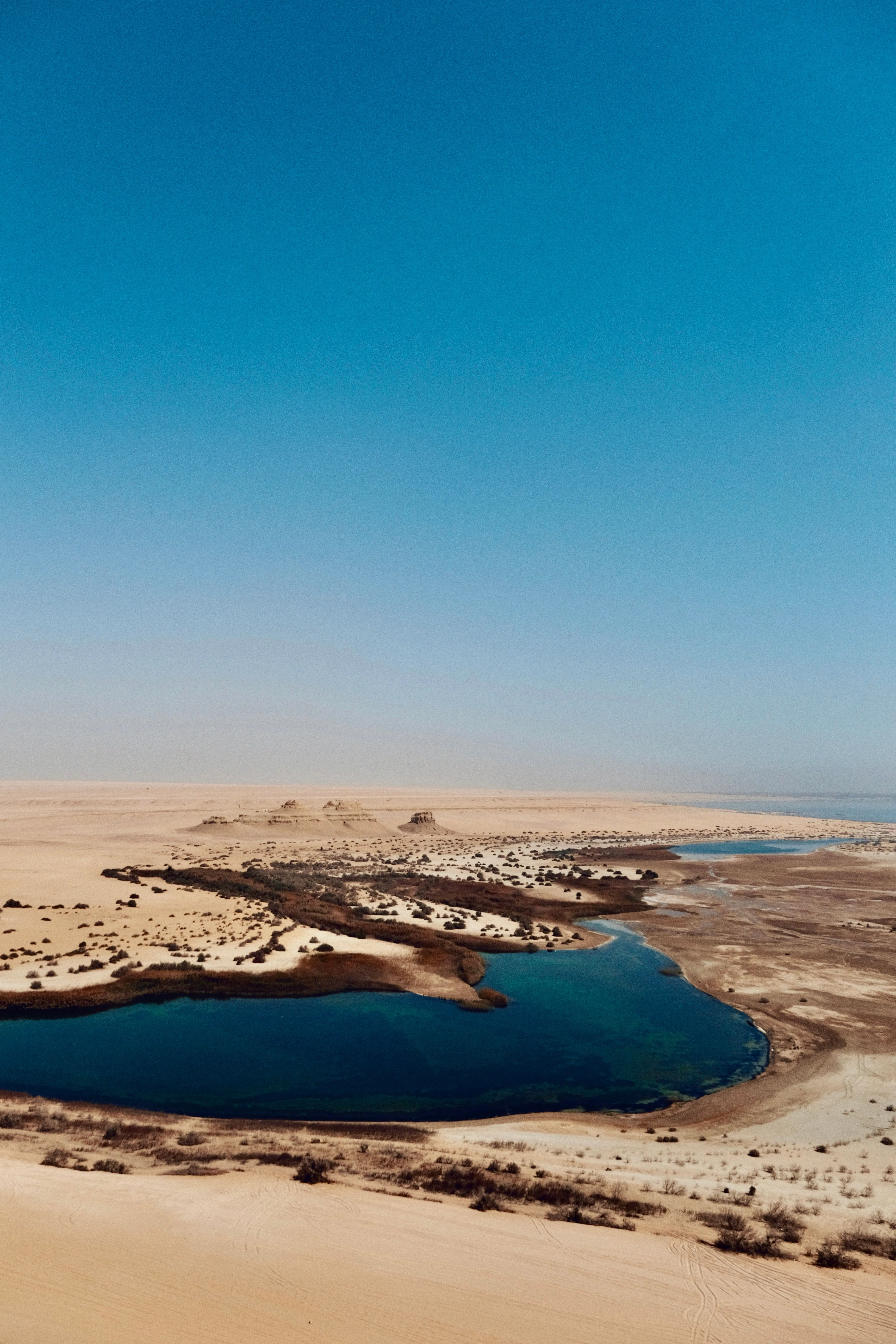 Salty Joy Dakhla